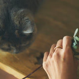 circle of myself-ring1