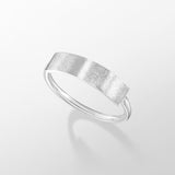 shitsukan-ring1 SV925