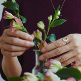 hajimari-ring1