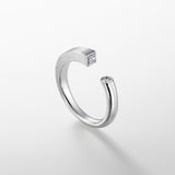 cleanness for me-ring1