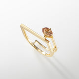 iro-ring1